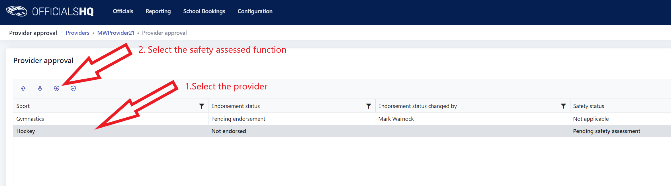 NSO_Providerapproval_safetystatusapproval.png
